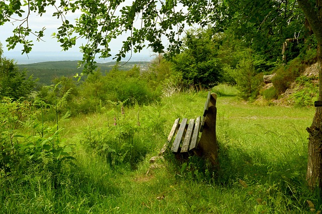 就成功拿下 就成功拿下