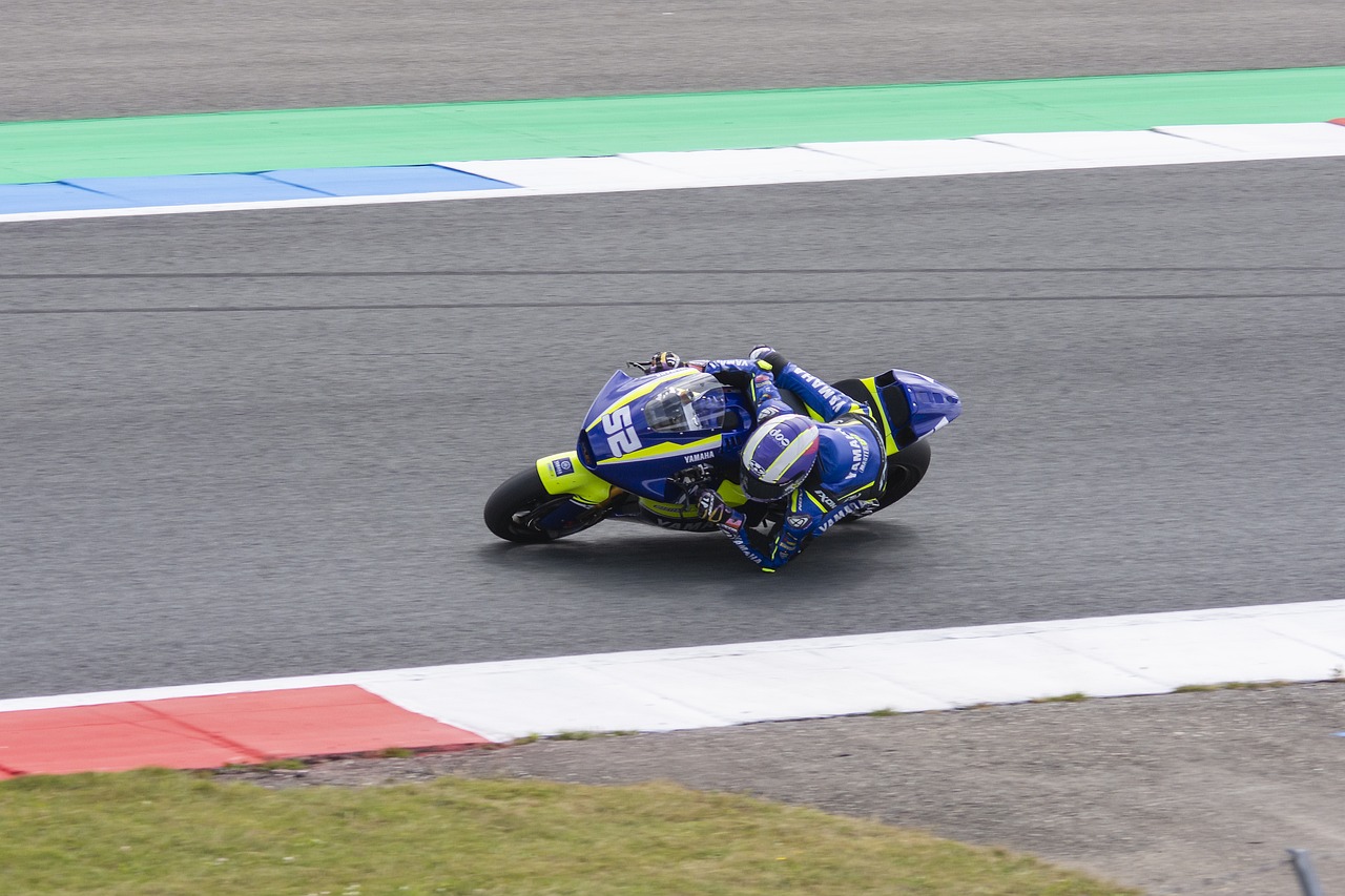 泰山海港在 泰山海港在