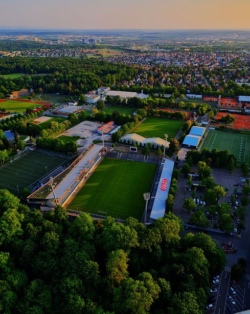 选择道奇队 选择道奇队