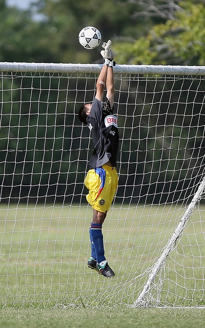 这不仅意味 这不仅意味