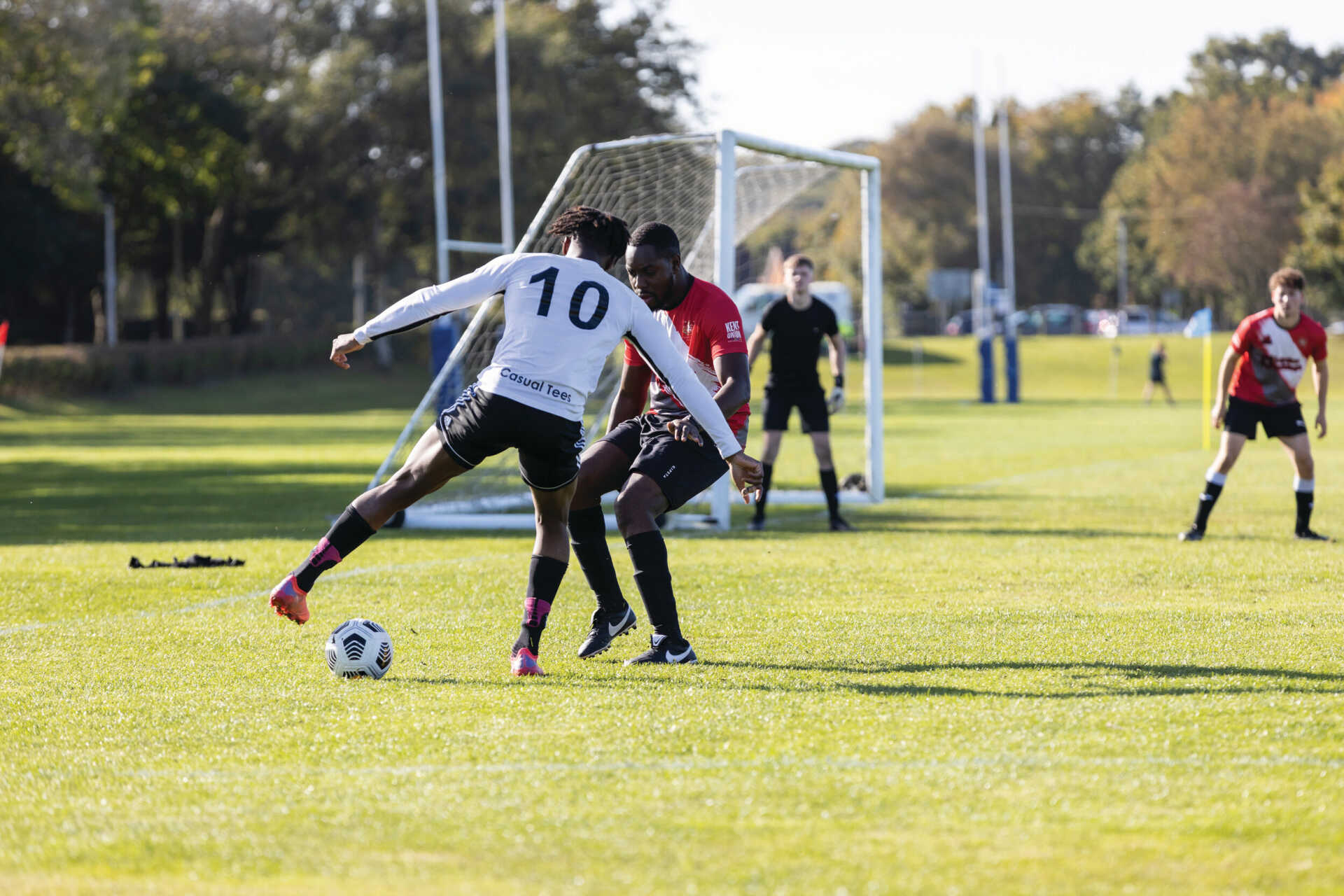 球界提供了 球界提供了